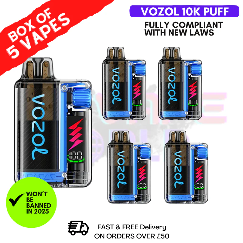 Blueberry Ice Vozol 10000 10K Puff Box Of 5